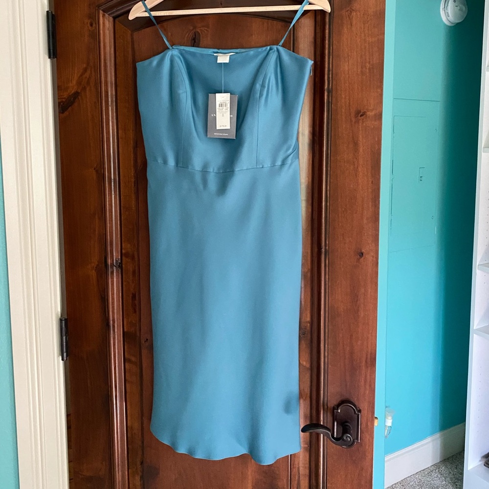 Silk Ann Taylor strapless dress